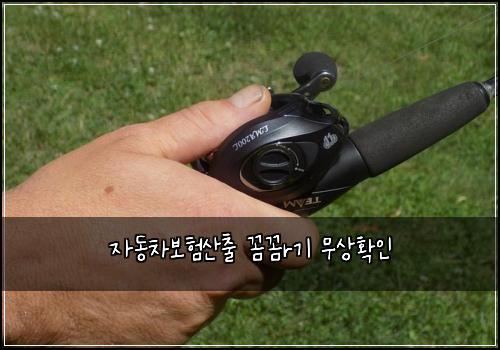 자동차보험산출 꼼꼼r기 무상확인