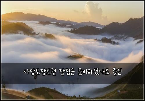 ์ฌ๋ง๋ณด์ฅ๋ณดํ ์ฅ์ ์ ์ค๋นํ์
จ๋์ ์ข
์