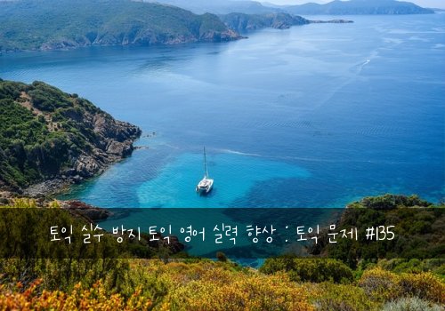 토익 실수 방지 토익 영어 실력 향상 : 토익 문제 #135