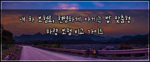 내 차 보험료, 현명하게 아끼는 법: 맞춤형 차량 보험 비교 가이드
