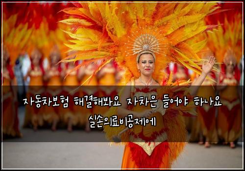 ์๋์ฐจ๋ณดํ ํด๊ฒฐํด๋ด์ ์์ฐจ์ ๋ค์ด์ผ ํ๋์ ์ค์์๋ฃ๋น๊ณต์ ์