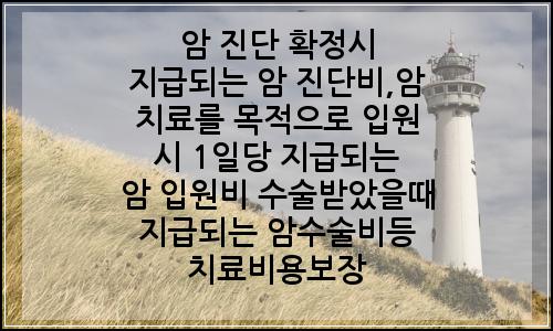 오늘의 이미지