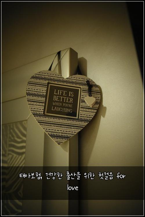 태아보험, 건강한 출산을 위한 첫걸음 for love