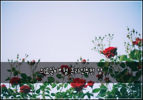 의료실비보험 온라인추천  암