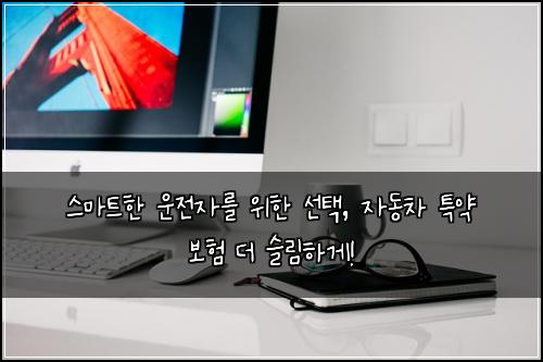  스마트한 운전자를 위한 선택, 자동차 특약 보험 더 슬림하게!