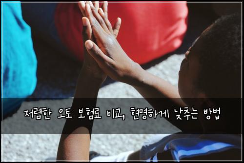  저렴한 오토 보험료 비교, 현명하게 낮추는 방법