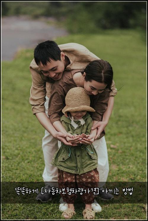  똑똑하게 [자동차보험차량가격] 아끼는 방법