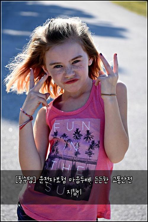  [필수템] 운전자보험 마음두배! 든든한 교통안전 지킴이