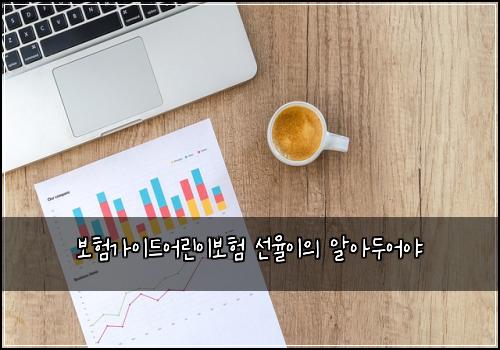 보험가이드어린이보험 선율이의 알아두어야