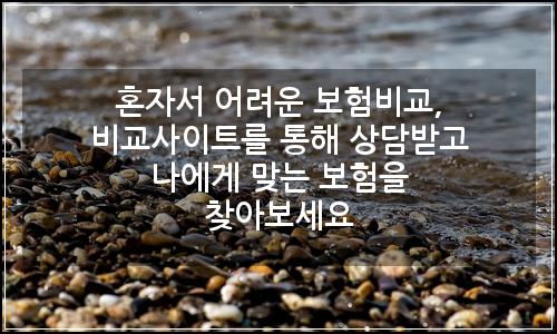 오늘의 이미지