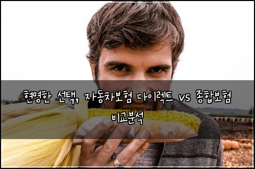  현명한 선택, 자동차보험 다이렉트 vs 종합보험 비교분석