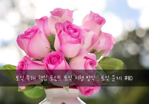 토익 독해 핵심 포인트 토익 시험 방식 : 토익 문제 #110