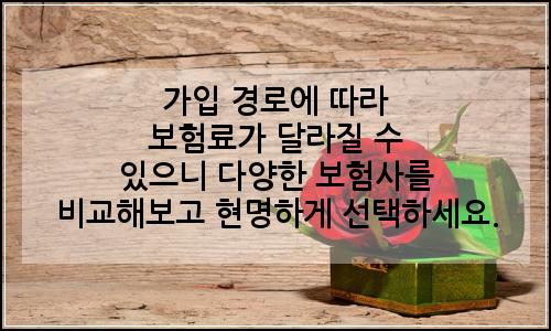 오늘의 이미지