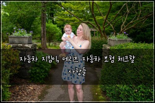 자동차 지킴이, 메리츠 자동차 보험 체크할 사항들