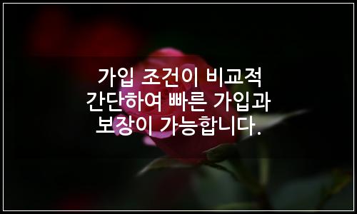 오늘의 이미지