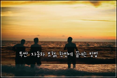 투싼 자동차 보험, 한번에 끝내는 방법