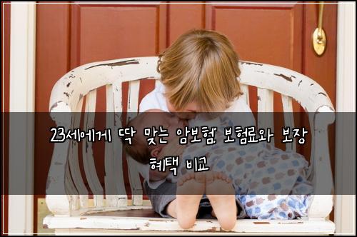 23세에게 딱 맞는 암보험: 보험료와 보장 혜택 비교