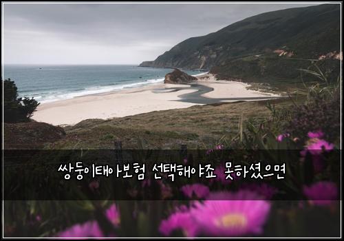 쌍둥이태아보험 선택해야죠  못하셨으면