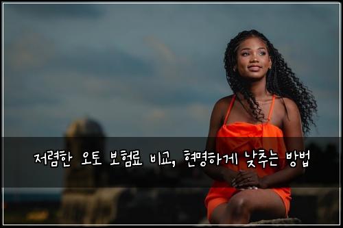  저렴한 오토 보험료 비교, 현명하게 낮추는 방법