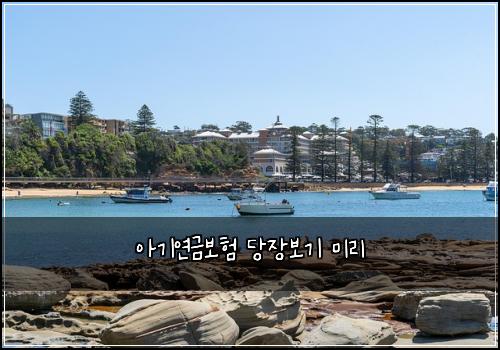 아기연금보험 당장보기  미리
