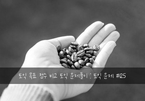 토익 목표 점수 비교 토익 문제풀이 : 토익 문제 #125