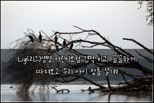 Lig(리그)생명 어린이보험 견적 비교: 꼼꼼하게 따져보고 우리 아이 맞춤 설계!