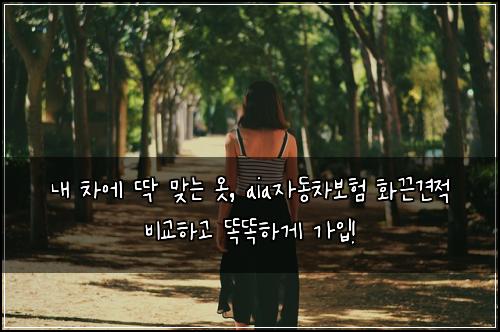  내 차에 딱 맞는 옷, aia자동차보험 화끈견적 비교하고 똑똑하게 가입!