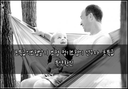 초특급의보험알기 보험 정기보험의 선구자 초특급 특약확인