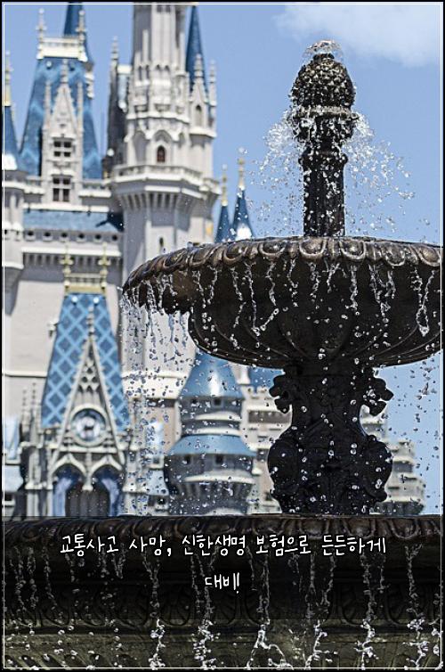 교통사고 사망, 신한생명 보험으로 든든하게 대비!