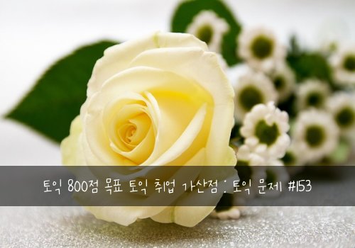토익 800점 목표 토익 취업 가산점 : 토익 문제 #153