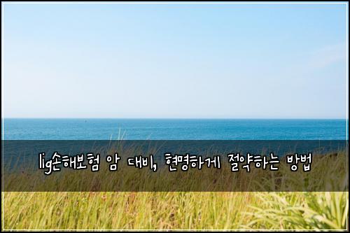  lig손해보험 암 대비, 현명하게 절약하는 방법