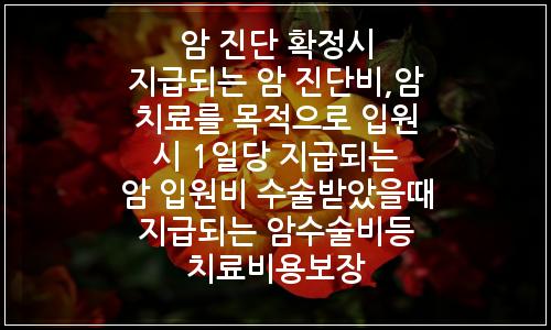 오늘의 이미지