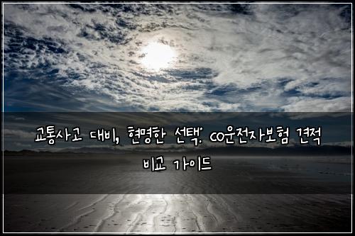  교통사고 대비, 현명한 선택: co운전자보험 견적 비교 가이드