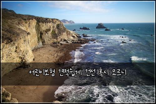 어린이보험 견적쉽게  건선 혹시 모르니