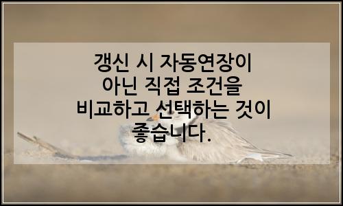 오늘의 이미지