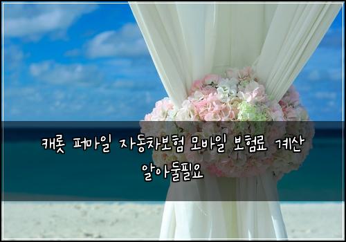 캐롯 퍼마일 자동차보험 모바일 보험료 계산 알아둘필요