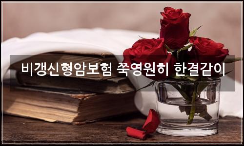 오늘의 이미지