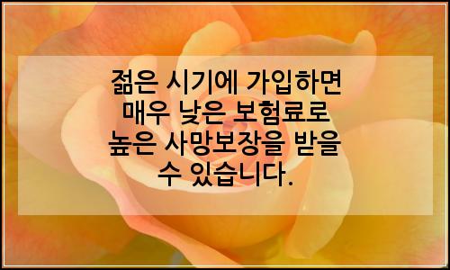 오늘의 이미지