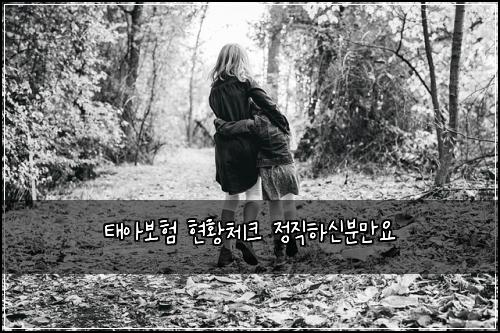 태아보험 현황체크  정직하신분만요