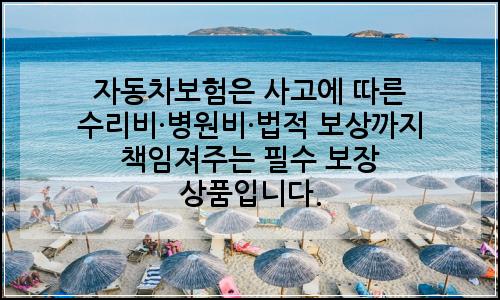 오늘의 이미지