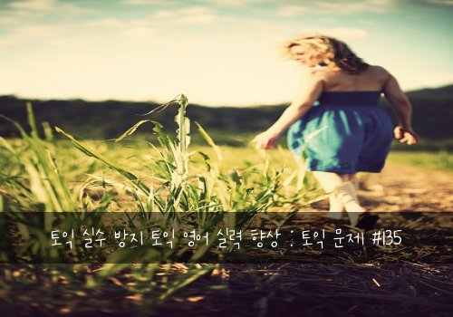 토익 실수 방지 토익 영어 실력 향상 : 토익 문제 #135