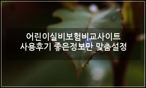 오늘의 이미지