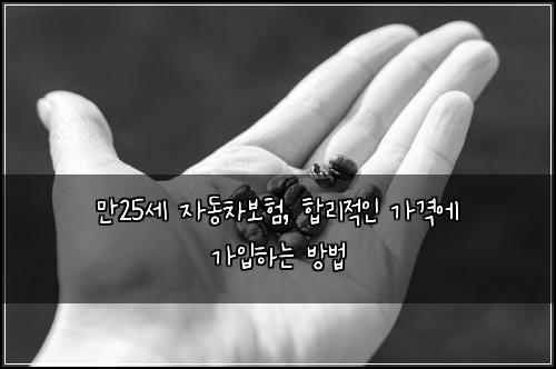 만25세 자동차보험, 합리적인 가격에 가입하는 방법