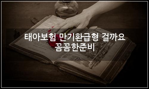 오늘의 이미지