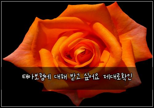 ํ์๋ณดํ์ ๋ํด ๋ฐ๊ณ ์ถ์ด์ ์ ๋๋กํ์ธ