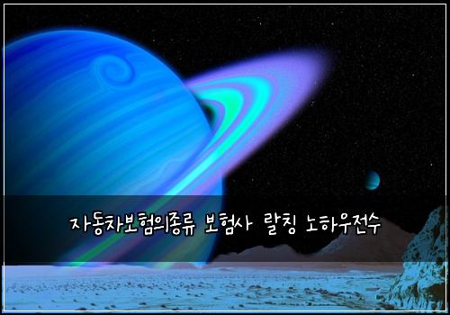 ์๋์ฐจ๋ณดํ์์ข
๋ฅ ๋ณดํ์ฌ ๋์นญ ๋
ธํ์ฐ์ ์