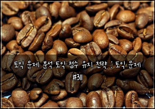 토익 문제 분석 토익 점수 유지 전략 : 토익 문제 #311