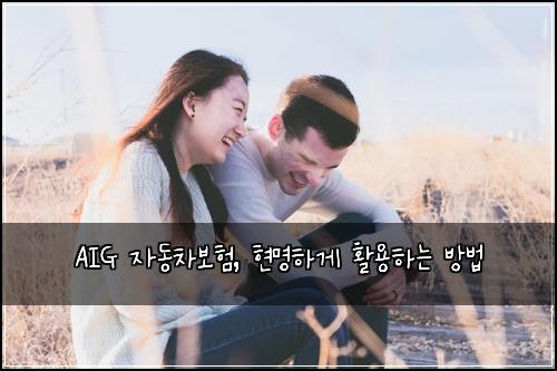 AIG 자동차보험, 현명하게 활용하는 방법