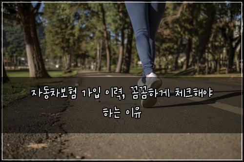 자동차보험 가입 이력, 꼼꼼하게 체크해야 하는 이유