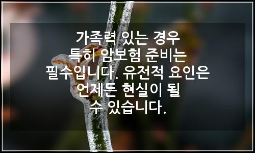 오늘의 이미지